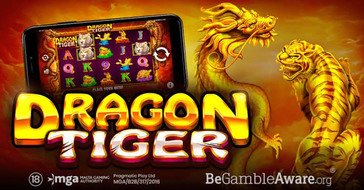 Dragon Tiger Games and Categories in XP777 Game